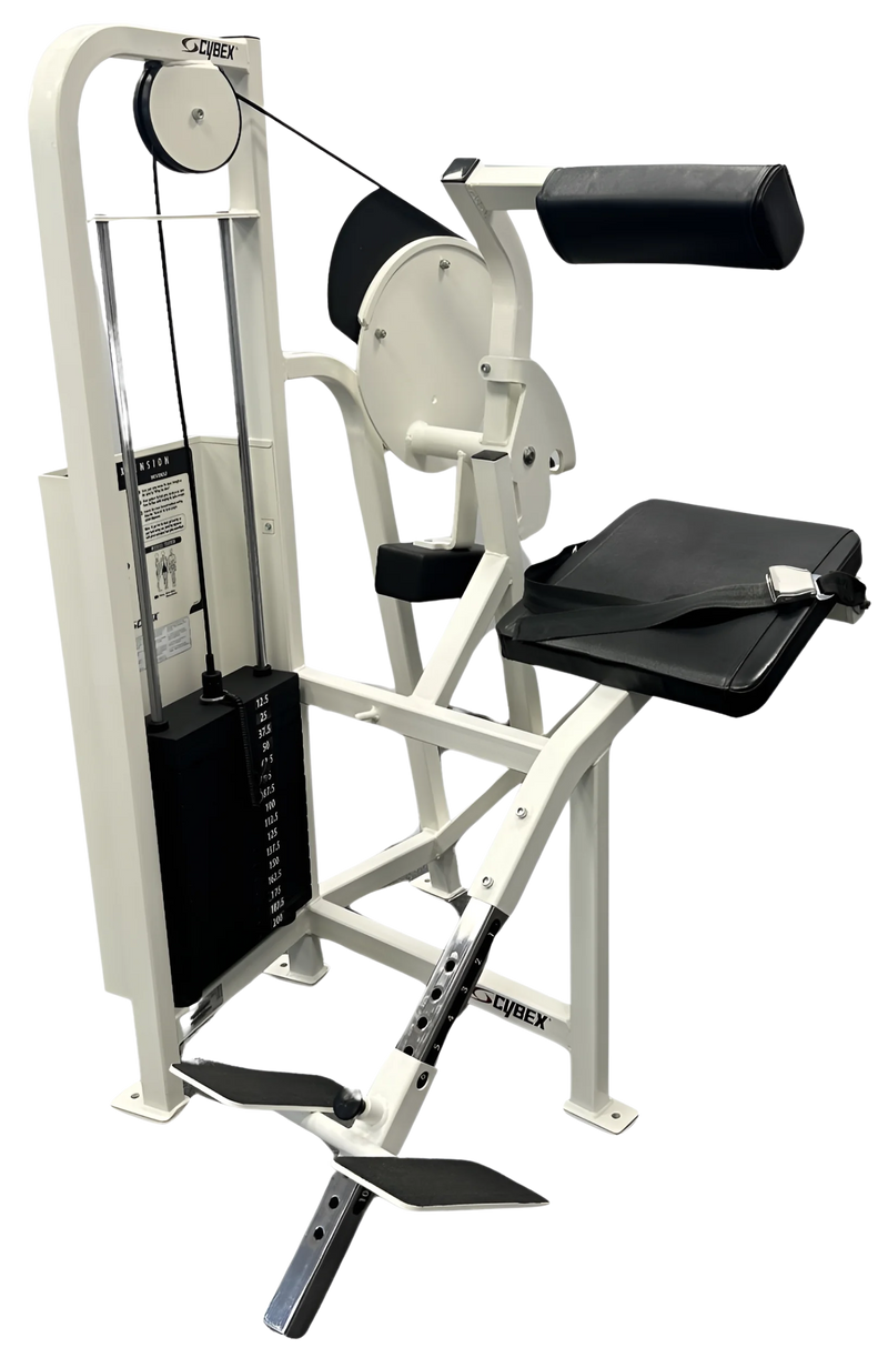 Cybex VR2 Back Extension (Remanufactured)