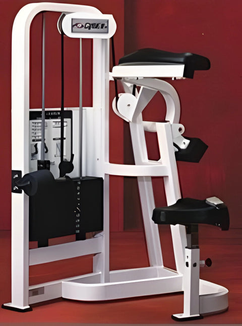 Cybex VR 2 Circuit Machines (Remanufactured) - Angled View