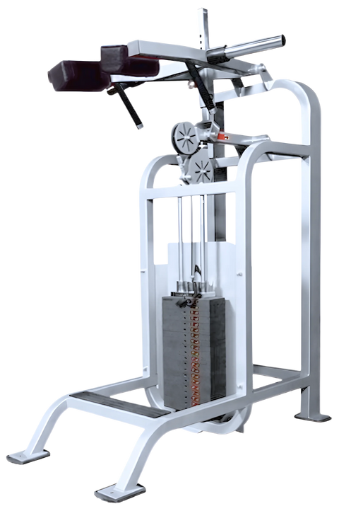 Cybex VR Standing Calf (Remanufactured)