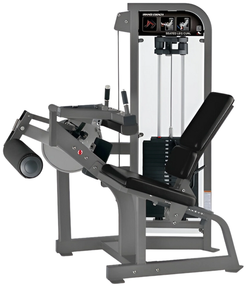 Hammer Strength Select Seated Leg Curl (Remanufactured) Image