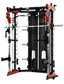 French Fitness FSR80
