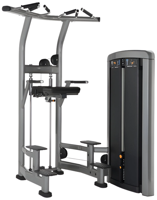 Life Fitness Insiginia Chin / Dip Assist (Remanufactured)