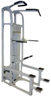 Paramount PL 4000 Standing Chin / Dip Assist (Remanufactured) Image