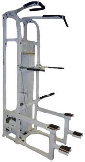 Paramount PL 4000 Standing Chin / Dip Assist - Angled View