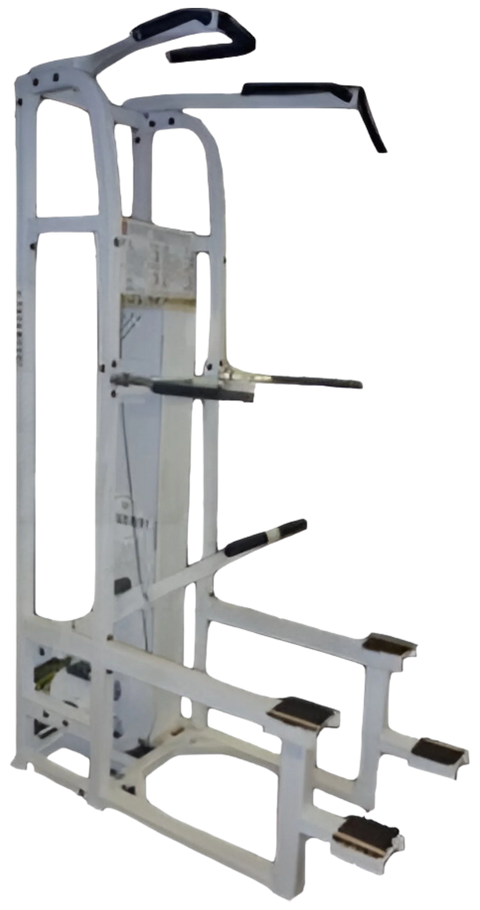 Paramount PL 4000 Standing Chin / Dip Assist (Remanufactured) Image