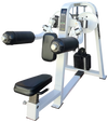 Precor Icarian Lateral Raise (Remanufactured) Image