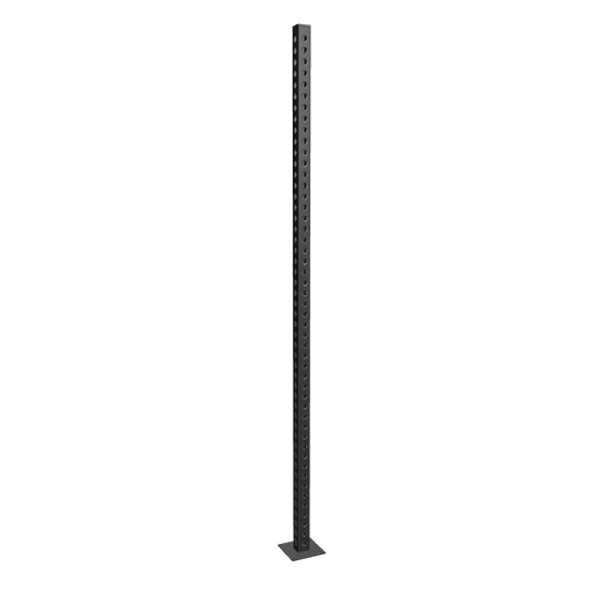 French Fitness 120" Rack & Rig Upright 3D Model