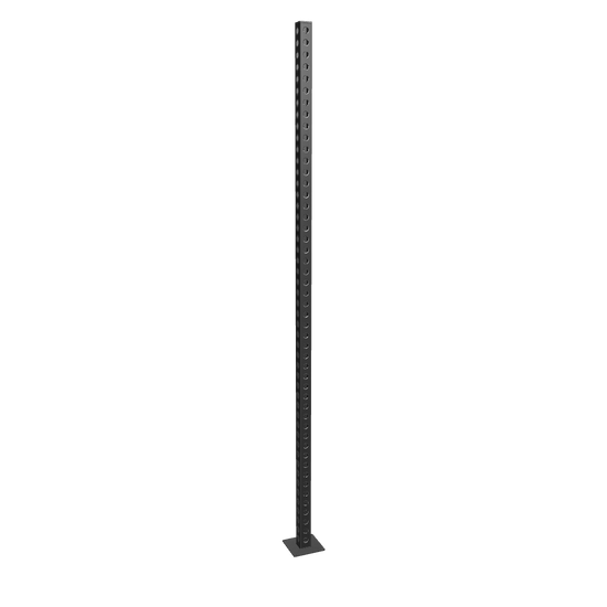 French Fitness 130" Rack & Rig Upright 3D Model