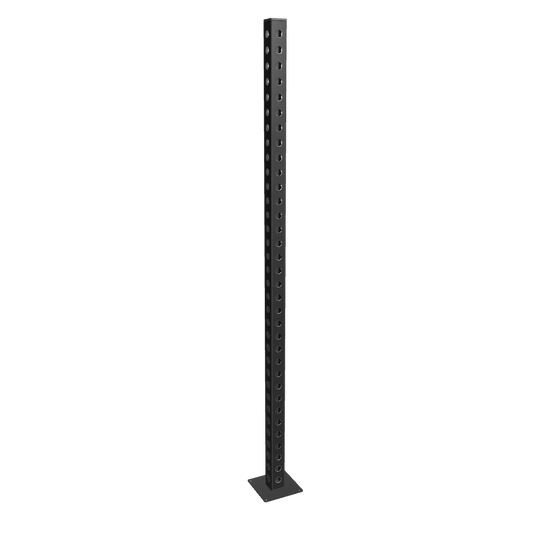French Fitness 91" Rack & Rig Upright 3D Model