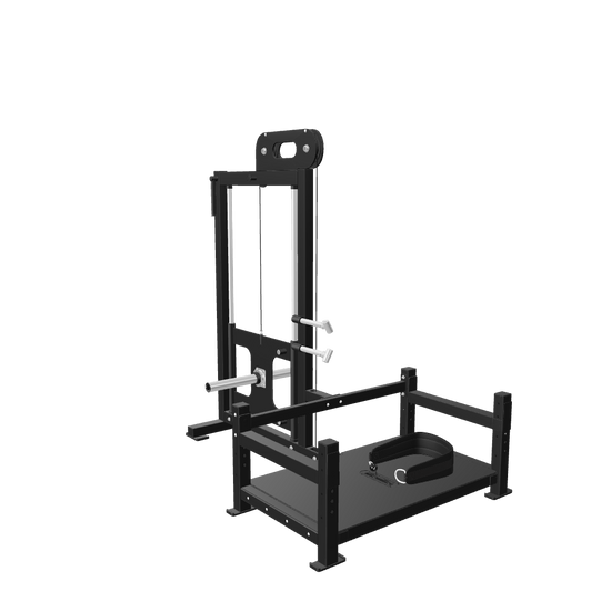 French Fitness Belt Squat Training Platform Plate Loaded 3D Model
