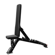 French Fitness FSR100-ADB Adjustable Bench w/Decline (New) - 3D View