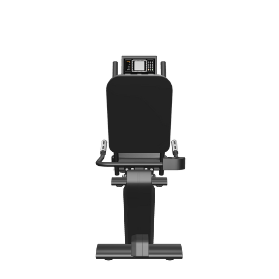 French Fitness RB200 Commercial Recumbent Bike (New) - 3D View