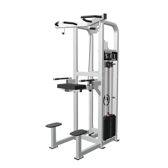French Fitness Shasta Assisted Chin Dip (New) - 3D View
