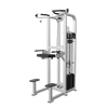 French Fitness Shasta Assisted Chin Dip (New) - 3D View