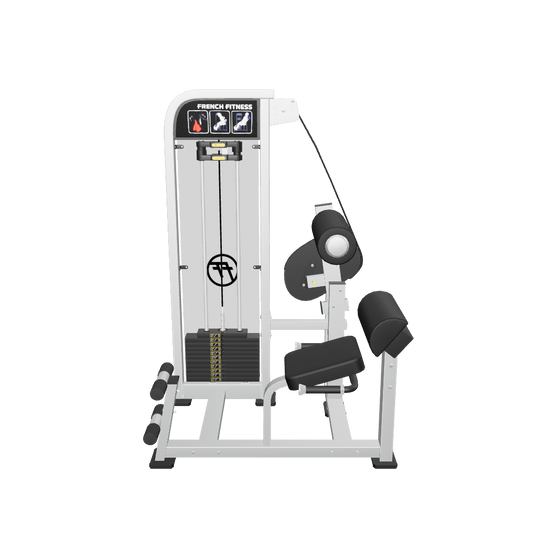 French Fitness Shasta Selectorized Back Extension (New) - 3D View