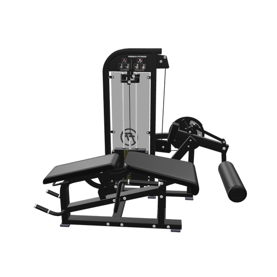 French Fitness Tahoe Prone Leg Curl / Leg Extension (New) - 3D View