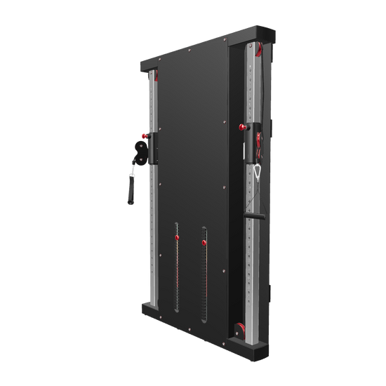French Fitness Wall Mounted Dual Cable Column Component (New) - 3D View