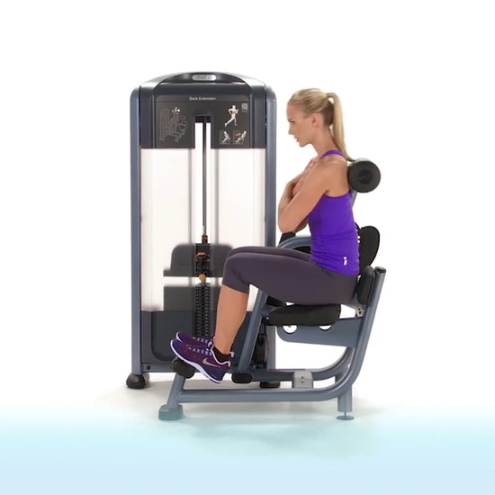 Precor DSL0313 Discovery Series Selectorized Back Extension (Remanufactured)