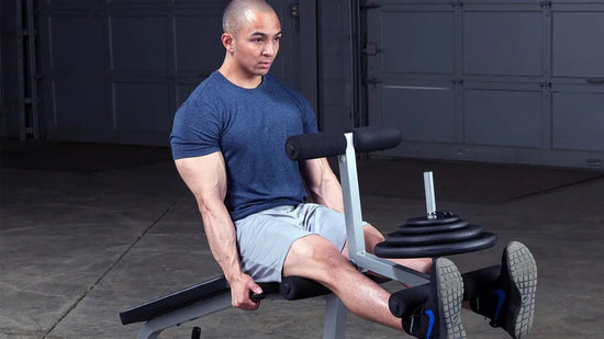 Body-Solid PLCE165X Powerline Leg Extension & Curl Machine (New)