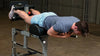  Body-Solid SGH500B Glute and Ham Machine (New)
