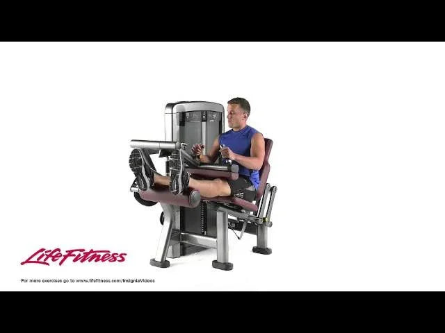 Life Fitness Insignia Series Seated Leg Curl (Remanufactured)