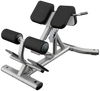 Life Fitness Signature 45 Degree Back Extension SBE (Remanufactured)