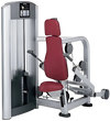 Life Fitness Signature Triceps Press / Seated Dip (Remanufactured)