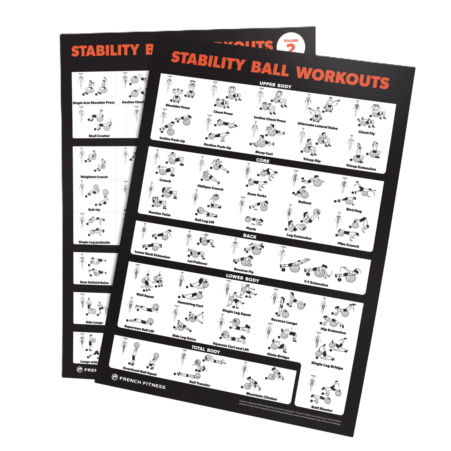 French Fitness Stability Ball Workout Training Charts / Posters (New)