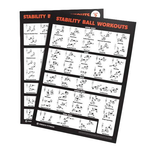 French Fitness Stability Ball Workout Training Charts / Posters (New)