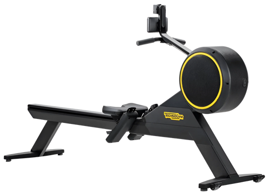 Technogym Skillrow (Remanufactured)