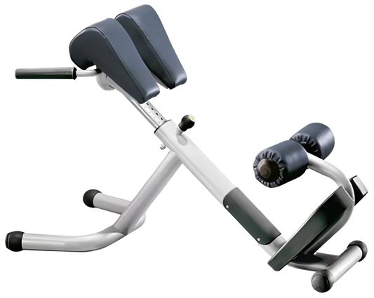 Technogym Selection MED 45 Degree Back Hyperextension (Remanufactured)