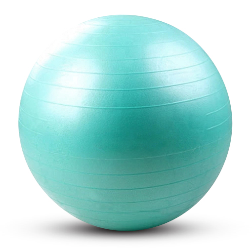 French Fitness Anti Burst Stability Exercise Ball 55cm